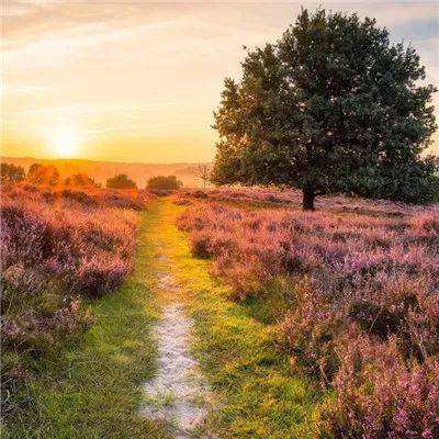 1788网投手机app下载