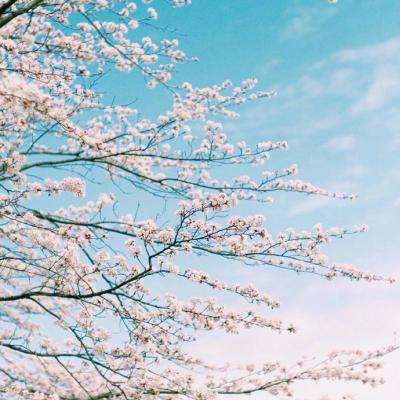 一分极速赛车平台